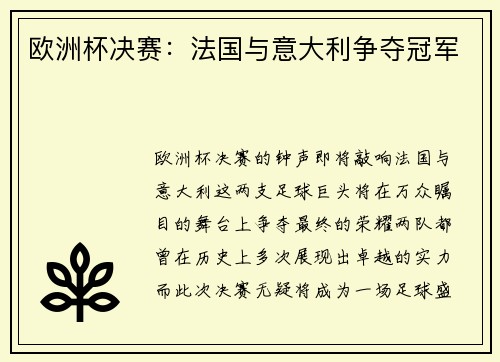 欧洲杯决赛：法国与意大利争夺冠军