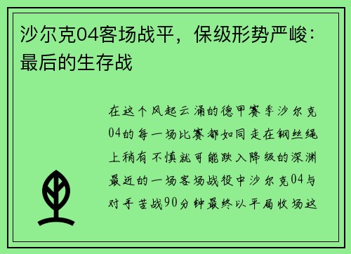 沙尔克04客场战平，保级形势严峻：最后的生存战