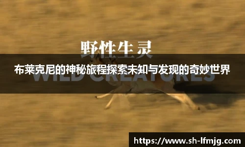 布莱克尼的神秘旅程探索未知与发现的奇妙世界